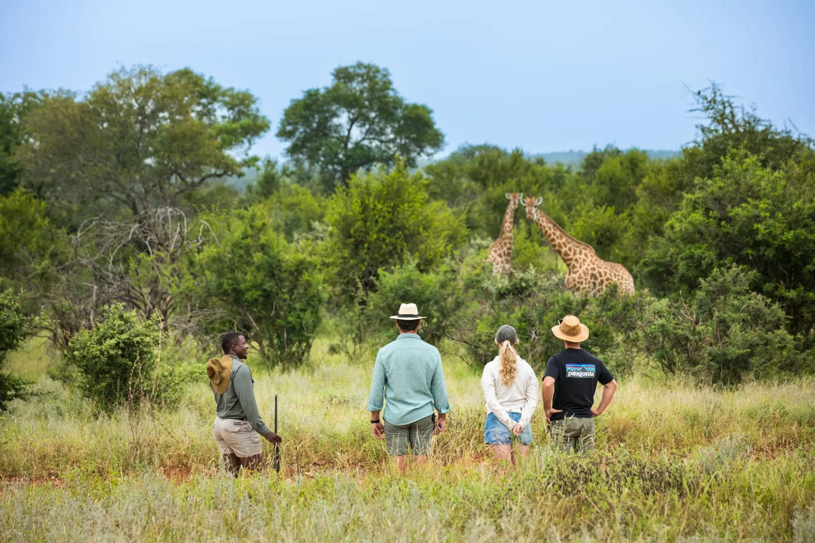 Guided walking safari with giraffe sighting